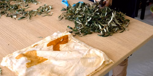 Atelier parent\/enfant teinture v\u00e9g\u00e9tale