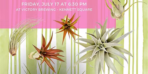 Air Plant Workshop