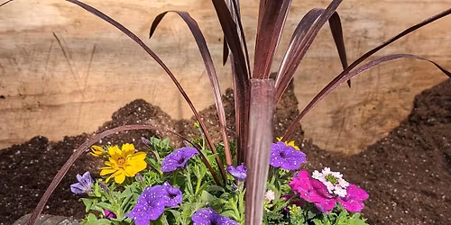 Container Garden Design