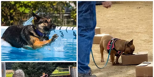UKC Fun Match - Nosework & Dock Jumping