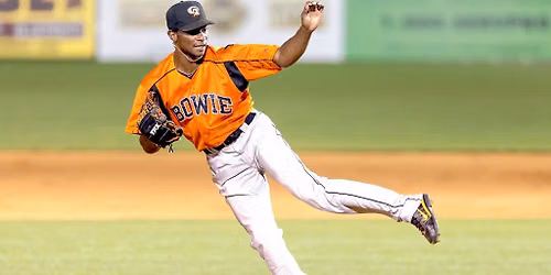 Harrisburg Senators at Chesapeake Baysox