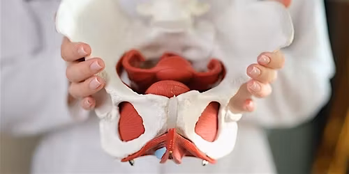 Physical and Occupational Therapy Collaboration Event