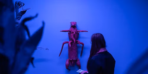 Guided tour for blind and visually impaired visitors - Seeds of Plenty