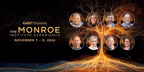 The Monroe Institute Experience