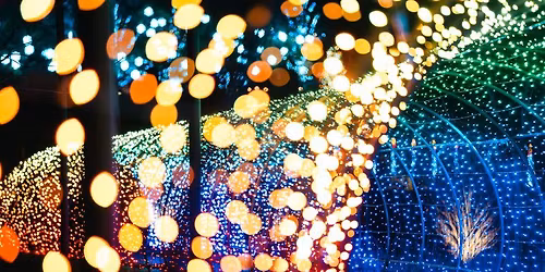 LONGWOOD GARDENS CHRISTMAS BUS TRIP  