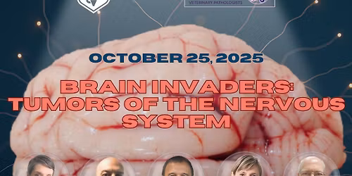 Brain Invaders: Tumors of the Nervous System. ACVP Pre-Meeting Workshop