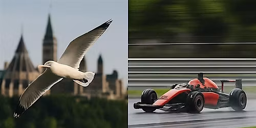 Henry's Ottawa - Photographing the World in Motion