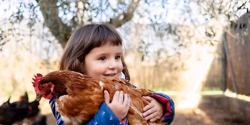 Persons with Disabilities Program - \u201cBarnyard Challengers"