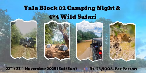 Yala Block 02 Camping Night & 4*4 Wild Safari | 2nd Excursion