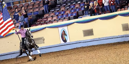 2026 Grand National & World Championship Morgan Horse Show