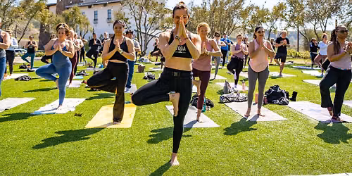 Vines & Vinyasa - An Evening Yoga Flow and Mat Pilates Experience