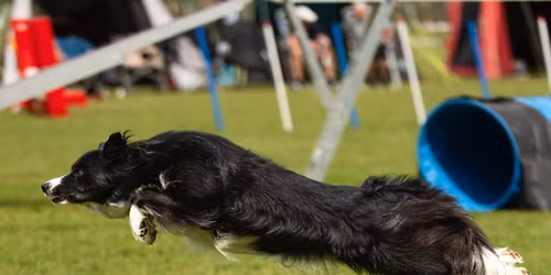 DcH Herrestrup 2 dags st\u00e6vne \ud83d\udc9c