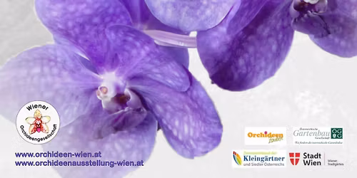 Internationale Orchideenausstellung 2026