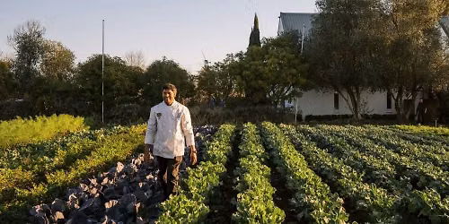 Francky Godinho: From Soil to Plate \u2013 A Vegetable Garden Tour and Seasonal Learning Lunch
