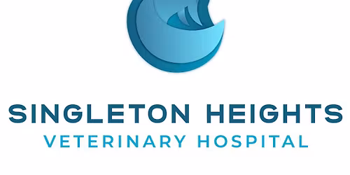 Puppy School - Singleton Heights 