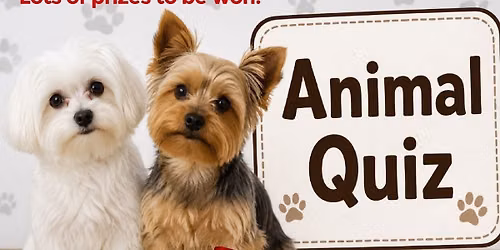 Animal Quiz