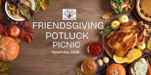 Friendsgiving Potluck Picnic in the Park