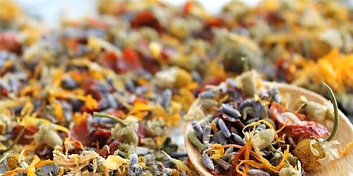 GB's Tea Festival 2026