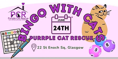Bingo with Cats!