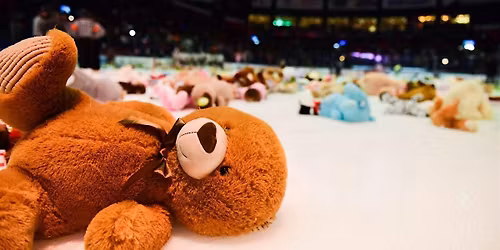 TEDDY BEAR TOSS