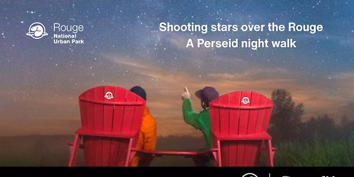 Shooting stars over the Rouge: A Perseid night walk
