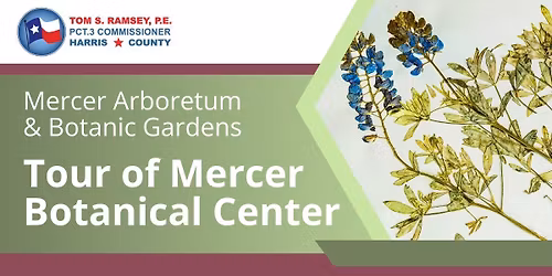 Tour of the Mercer Botanical Center 