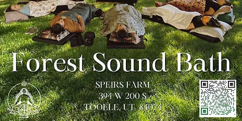 Forest Sound Bath