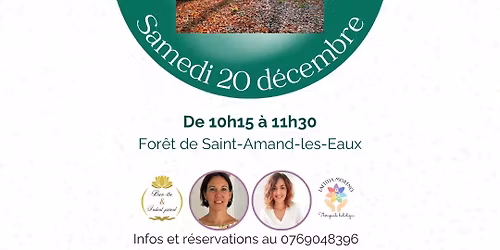 Sophro-balade pour accueillir le solstice d'hiver