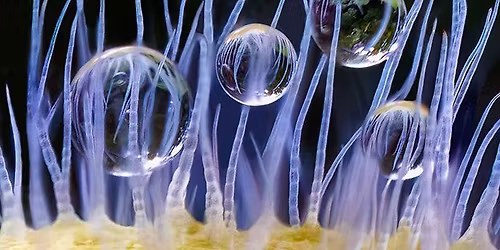 Mid-Atlantic Photo Visions 2025