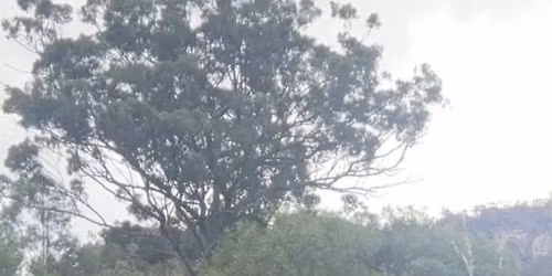 YellowScone Feb Girls Escape Weekend