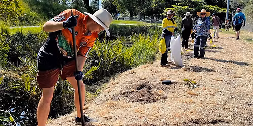 Tree Planting at Lily Creek \u2013 Weekend 4, Cairns QLD
