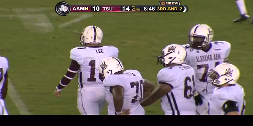 Alabama A&M Bulldogs at Texas Southern Tigers Football at Shell Energy Stadium