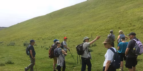 Festival Walk 6 - Wharram Percy Geology Walk (3 miles\/5km, easy)