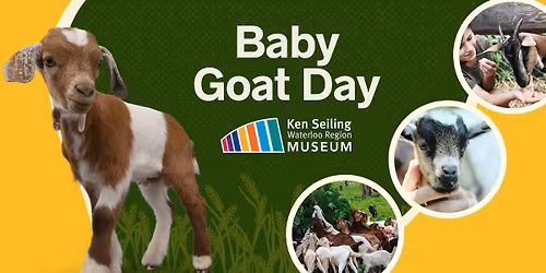 Baby Goat Day