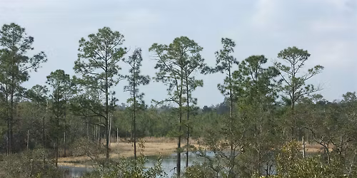 Wetlands & Wildlife Walk