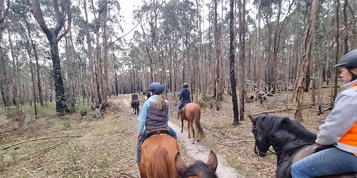 Linton Club Ride\/Camp