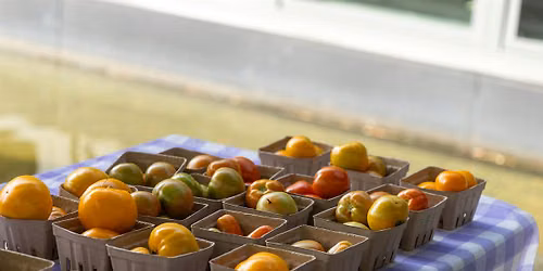Farm Workshop:  Pruning Tomatoes