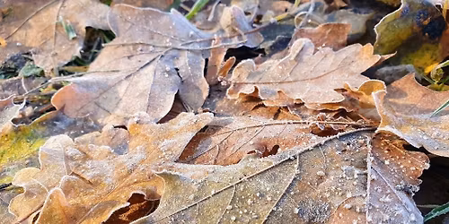 Rudens takais prie Šventosios