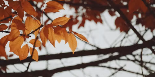 Fall Mini Portrait Sessions \u2014 Victoria