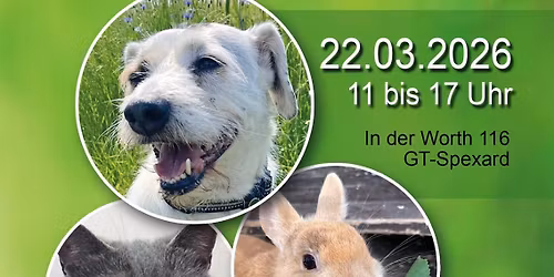 Fr\u00fchlingsfest \ud83c\udf38\u2600\ufe0f