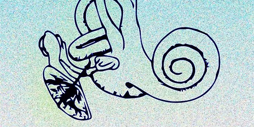 CoCF26 Workshop: Listening Songs