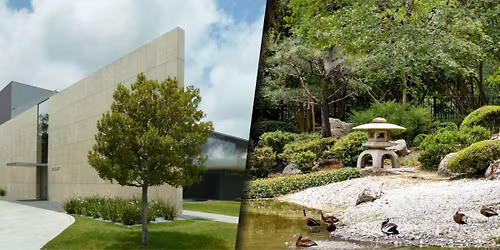 Museum District Walk