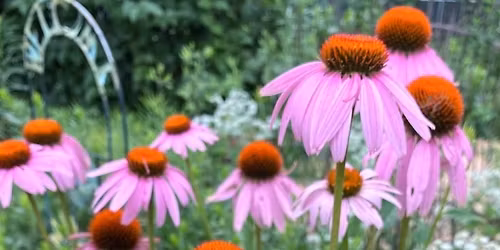 Celebrate Pollinators Day \ud83e\udd8b\ud83d\udc1d\ud83d\udc1e\ud83d\udc1c