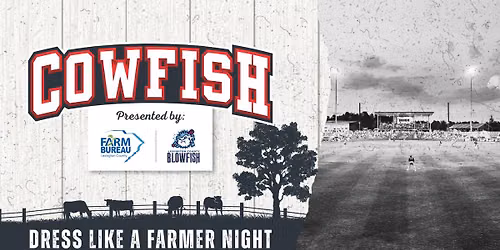 Holy Cow! Cowfish Baseball | Dress Like a Farmer Night