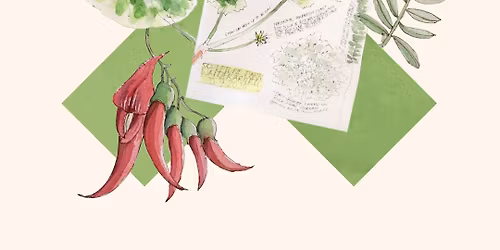 Nature Journaling with Sandra Morris