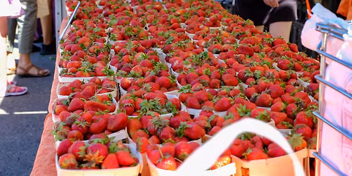 Strawberry Jam-boree