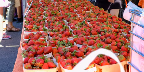 Strawberry Jam-boree