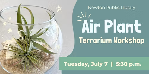 Air Plant Terrarium Workshop