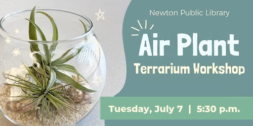 Air Plant Terrarium Workshop