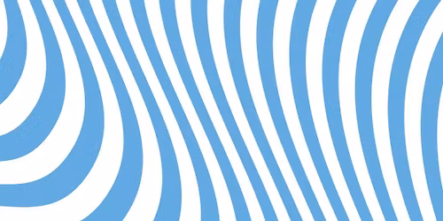 BLEU ZEBRE (live)